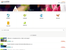 Tablet Screenshot of golv.com.cn